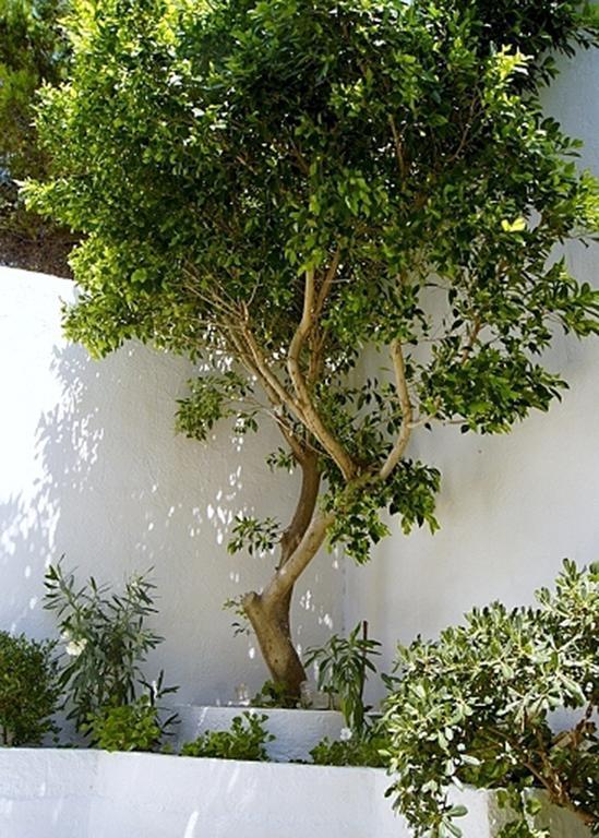 Apartamento Idroussa Batsíon Exterior foto